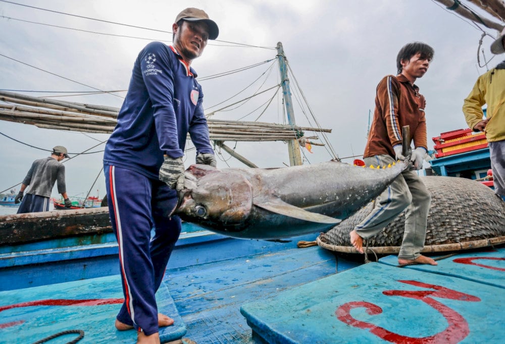 Visitors will have the opportunity to learn about the lives of local fishermen